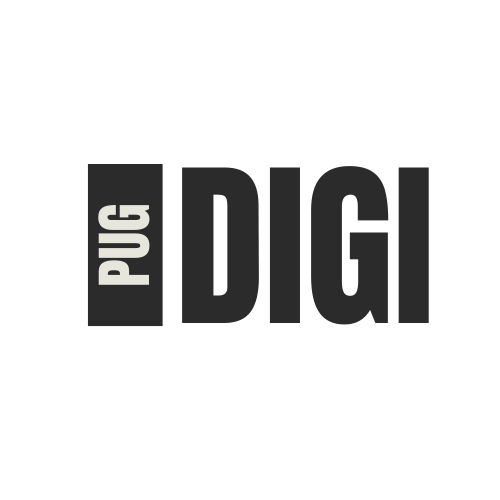 PUBDIGI